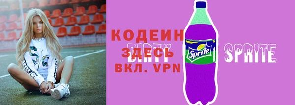 гашик Каменка