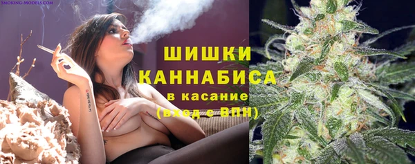 ПСИЛОЦИБИНОВЫЕ ГРИБЫ Каменногорск