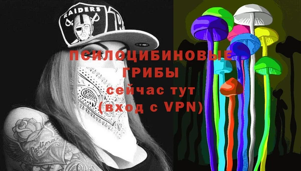 ПСИЛОЦИБИНОВЫЕ ГРИБЫ Каменногорск