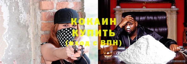Альфа ПВП Инта